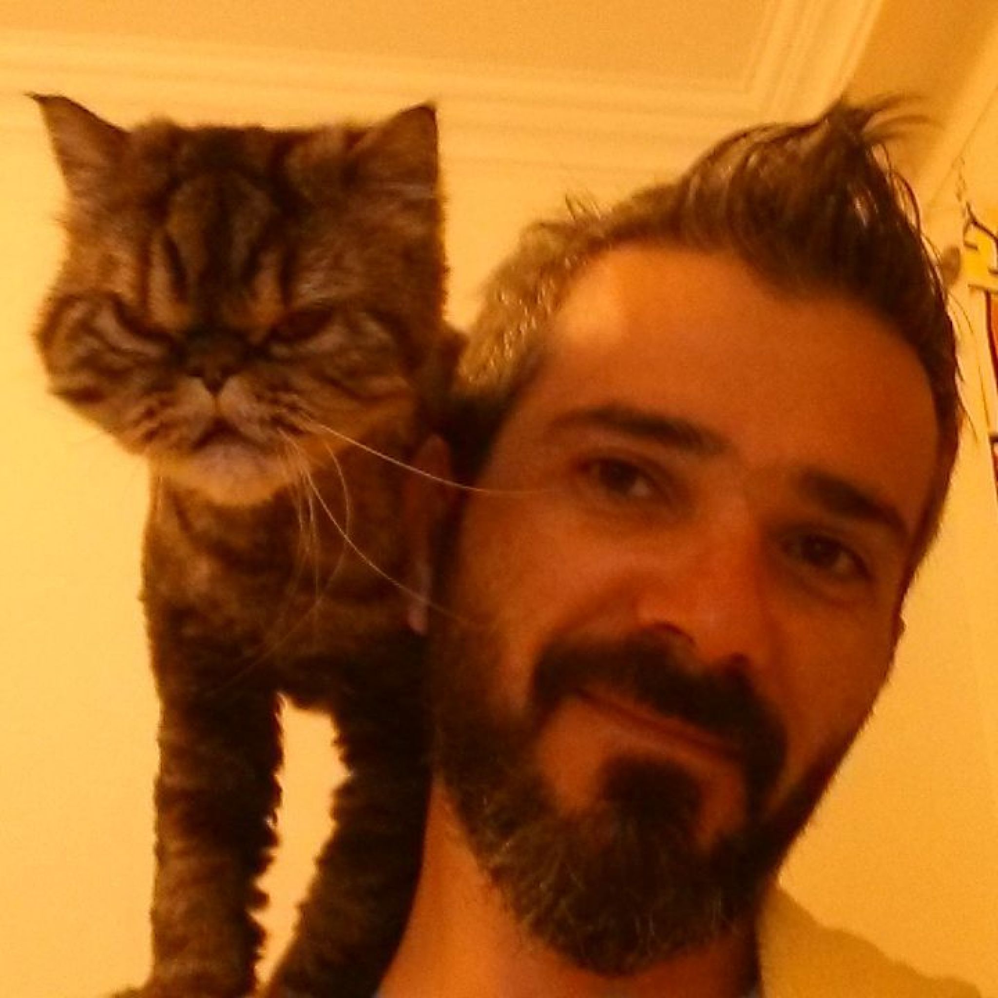 Murat photo